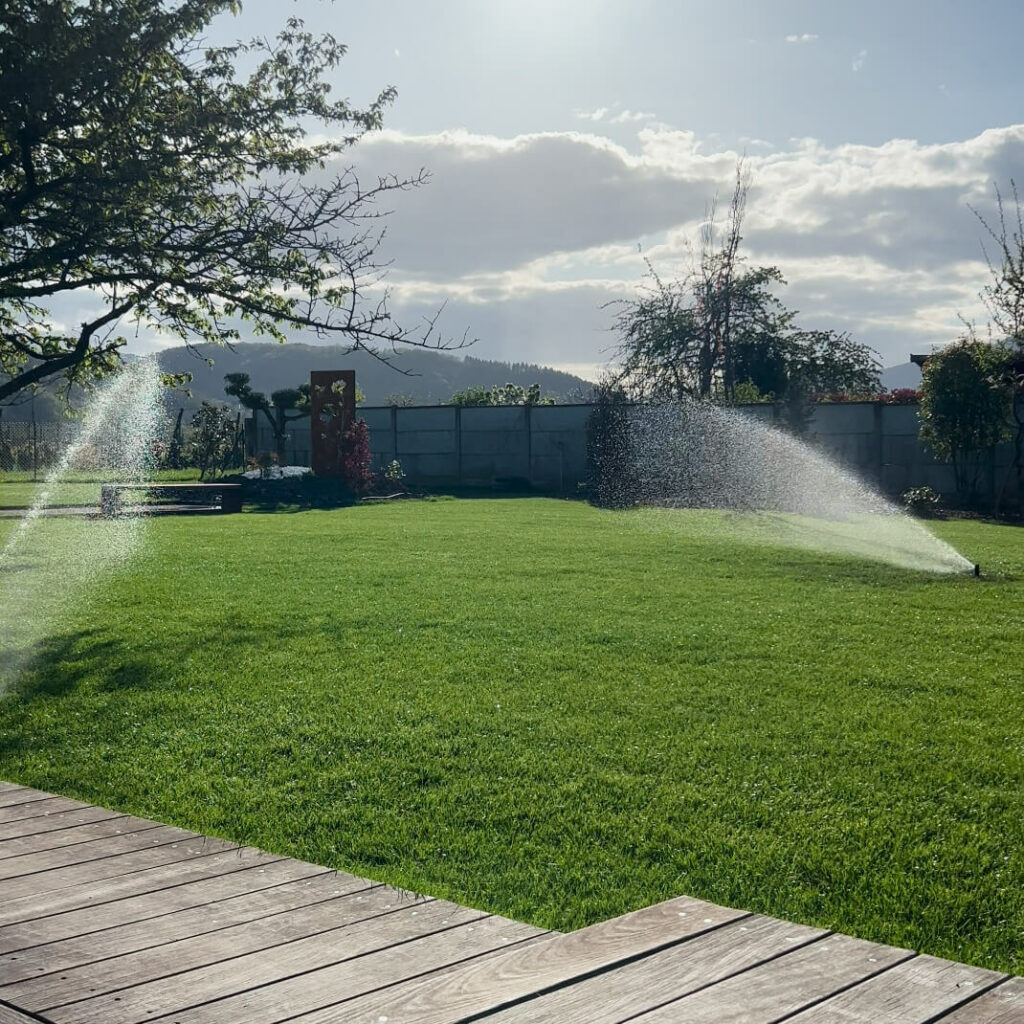 arrosage jardin alsace - jardin fute paysagiste