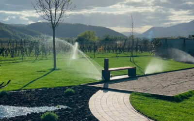 Arrosage automatique : combien d’eau peut-on économiser ?