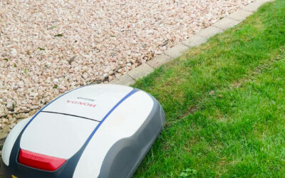 Pourquoi recourir à un robot tondeuse ? Découvrez les avantages