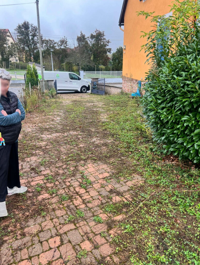entretien cour exterieur avant - jardin fute