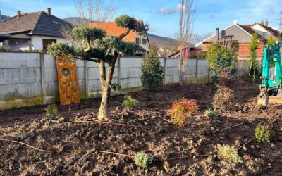 Système d’irrigation pour les massifs arborés et fleuris : quelle solution d’arrosage ?