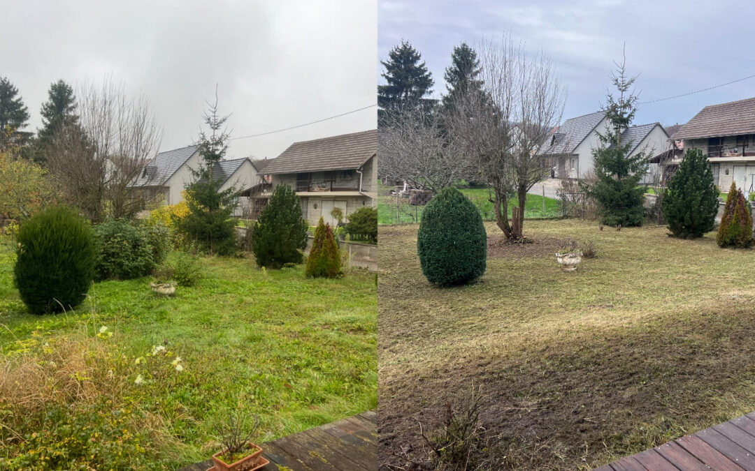 Les bases de l’aménagement paysager : comment concevoir et réaliser des espaces extérieurs harmonieux tout en limitant leur entretien ?