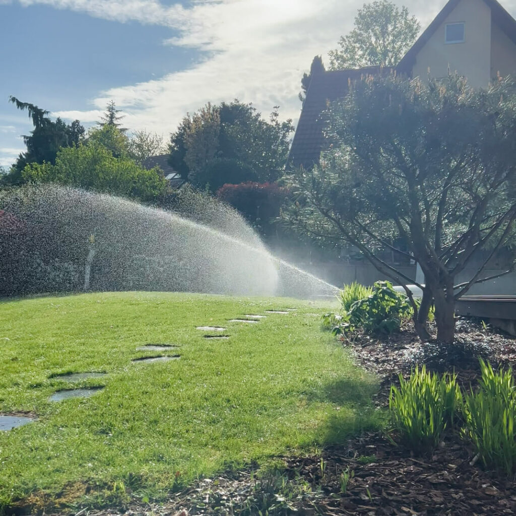Quel type de pompe choisir pour votre systeme arrosage pompe de surface pompe immergee - jardin fute strasbourg Quel type de pompe choisir pour votre systeme arrosage pompe de surface pompe immergee - jardin fute strasbourg
