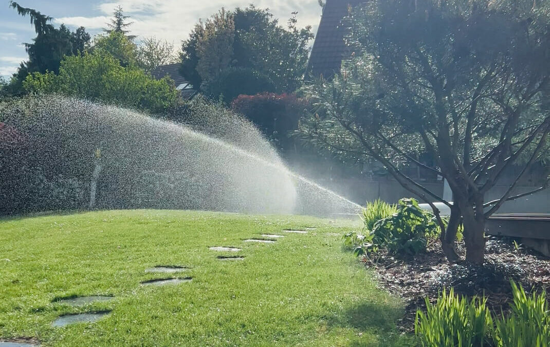 Quel type de pompe choisir pour votre système d’arrosage : pompe de surface, pompe immergée ?