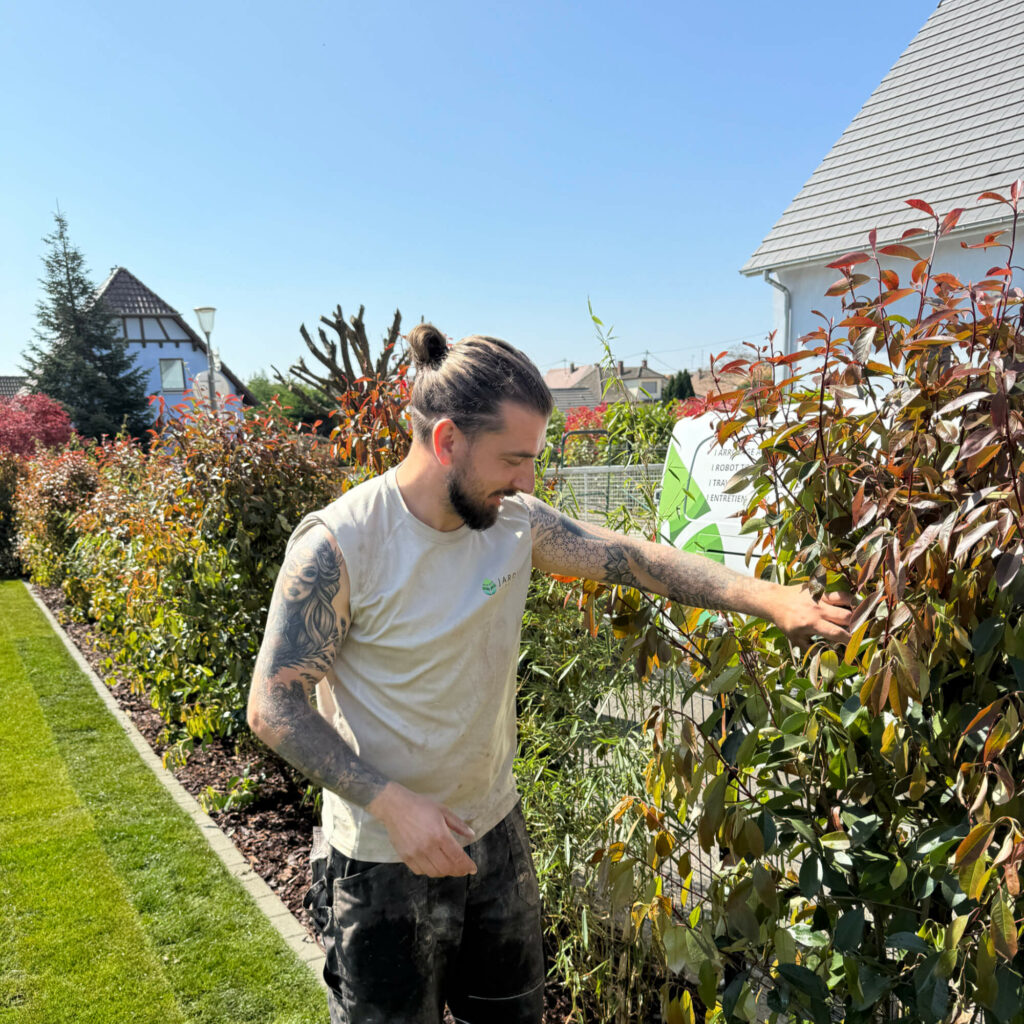david-lotz-jardin-fute-strasbourg